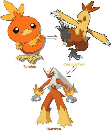 torchic evolve|[ Torchic ] The Pokémon Index: Evolution Chart, Move List, .